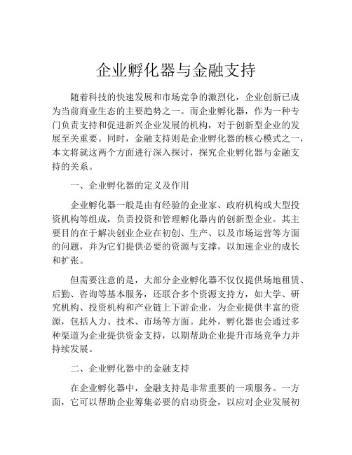 企业孵化器与金融支持