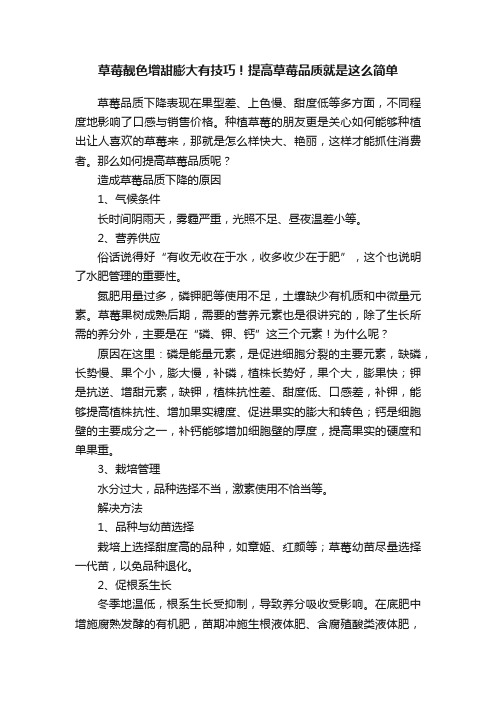 草莓靓色增甜膨大有技巧！提高草莓品质就是这么简单