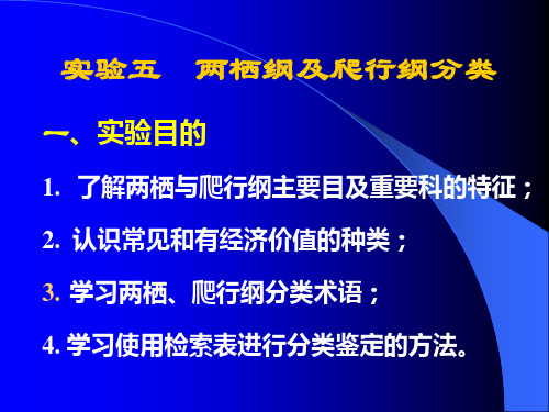 动物学实验8、_两栖纲及爬行纲分类