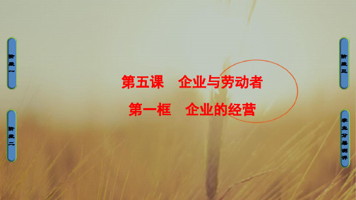 2017-2018学年高一政治必修1课件:第2单元 第5课 第1框 企业的经营 精品