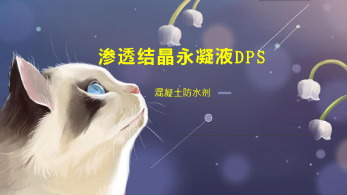 渗透结晶永凝液DPS