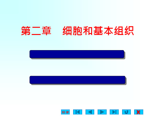 生理学 第2章 细胞和基本组织