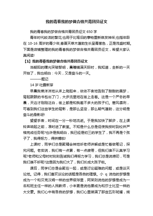 我的青春我的梦做合格共青团员征文