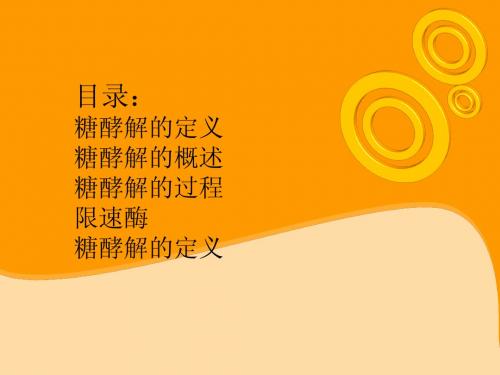 糖酵解 (2)