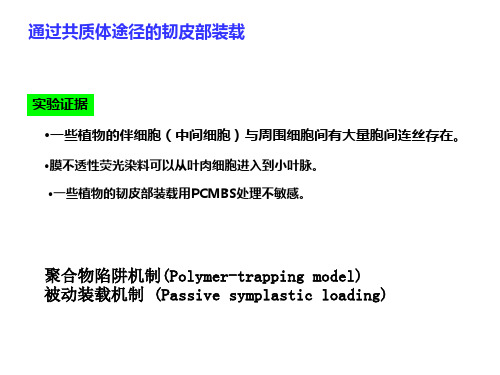 张学琴植物生理学-第十章 韧皮部运输与同化物分配2 23页PPT文档