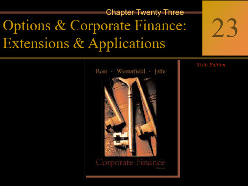 《Corporate Finance (公司金融学)》课件 (24)