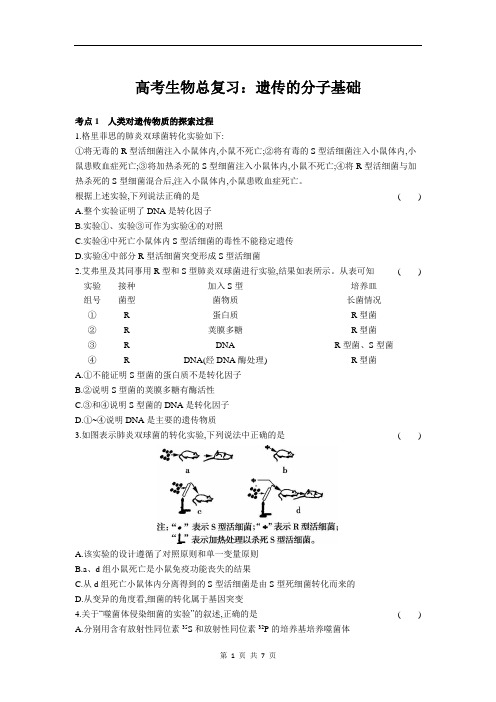 高考生物总复习：遗传的分子基础