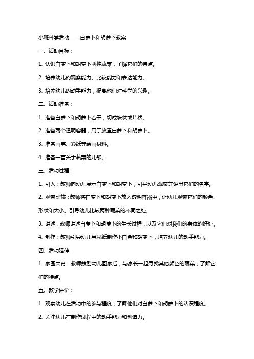 小班科学活动白萝卜和胡萝卜教案