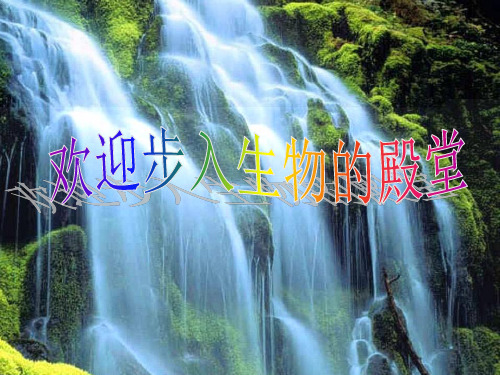 苏科版七下生物 9.2 人体的组成 课件   (共78张PPT)