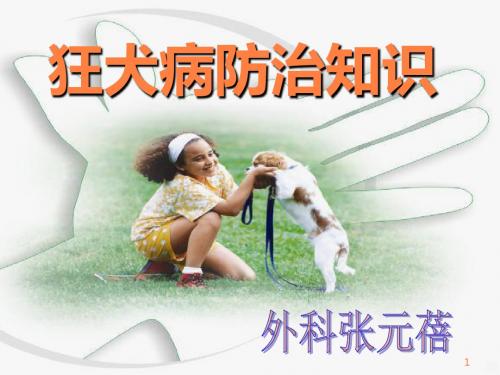 狂犬病防治知识PPT课件