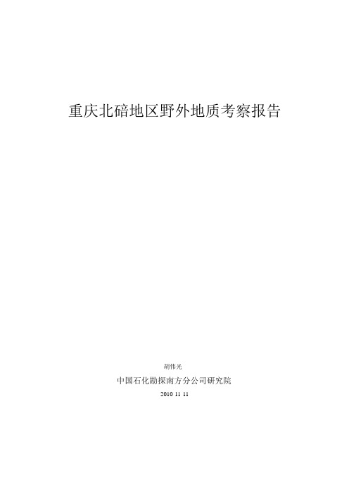 重庆北碚地区野外地质考察报告-胡伟光