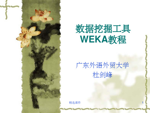 WEKA教程完整版(新)