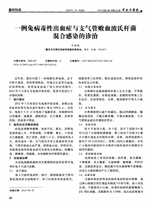 一例兔病毒性出血症与支气管败血波氏杆菌混合感染的诊治