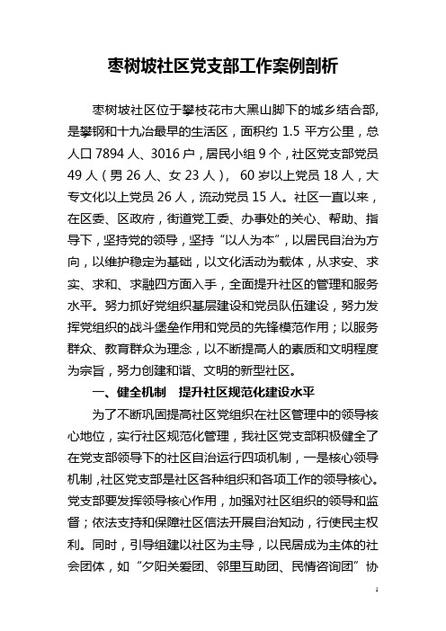 枣树坡社区党支部工作案例剖析健全机制  提升社区规范化建设水平