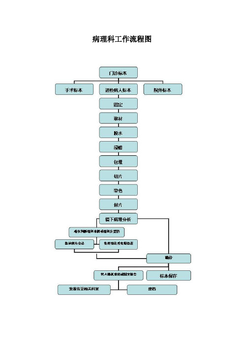 病理科工作流程图