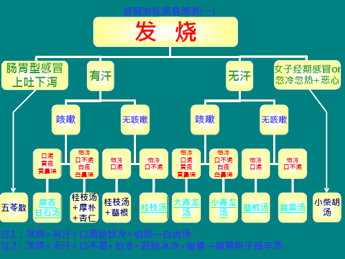 倪海厦经方治感冒简易图表ppt课件