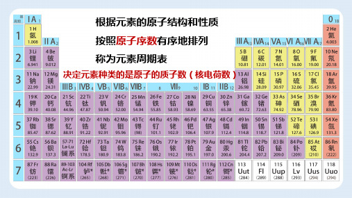 初中化学优质课课件11.元素周期表