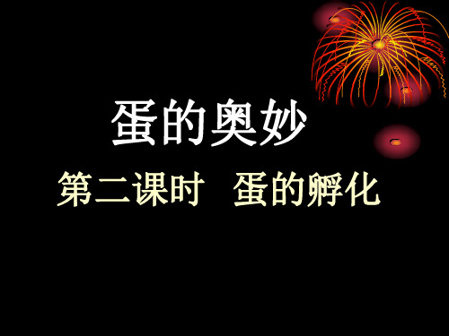 (教科版)三年级科学下册 孵化技术(鸡孵化过程) 课件