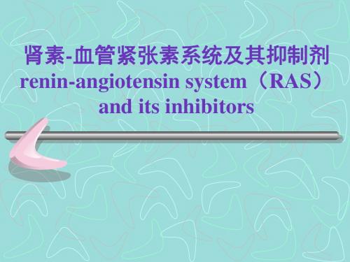 心血管药理-肾素-血管紧张素系统及其抑制剂RAS-PPT课件