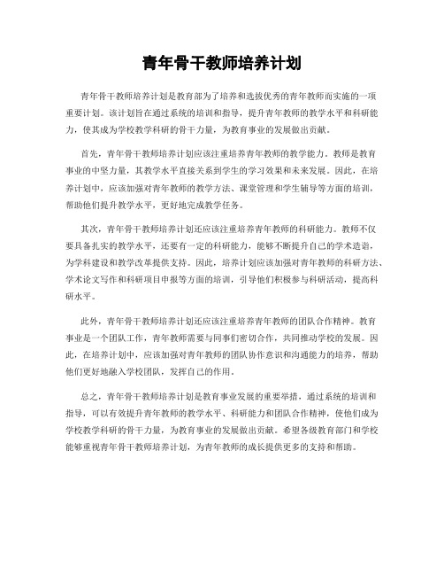 青年骨干教师培养计划