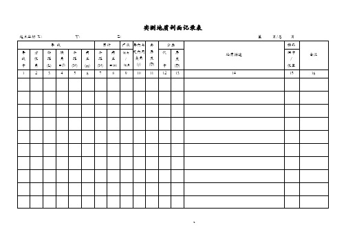 野外地质记录表大全