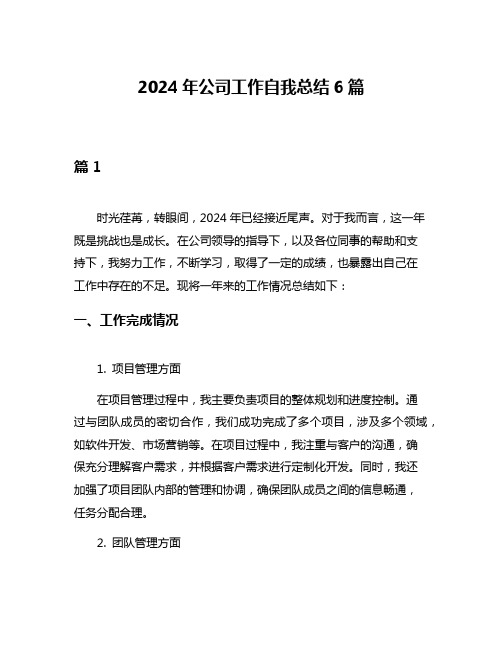 2024年公司工作自我总结6篇