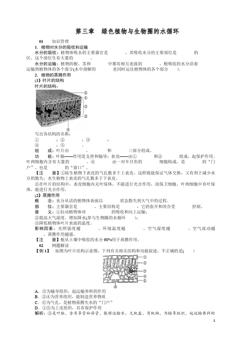 人教版七年级生物上册第三章 绿色植物与生物圈的水循环 试题及答案【精品】.doc