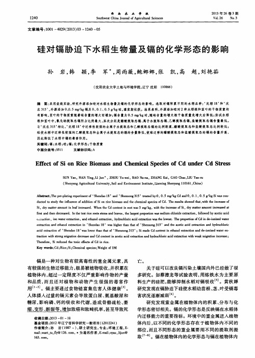 硅对镉胁迫下水稻生物量及镉的化学形态的影响