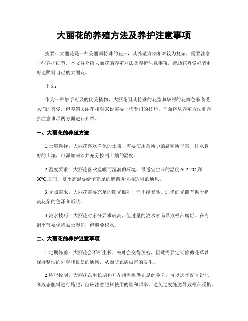 大丽花的养殖方法及养护注意事项