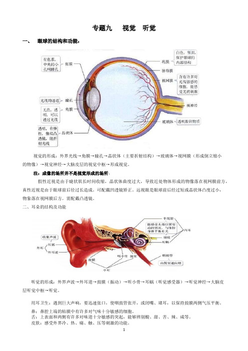 专题九 视觉 听觉