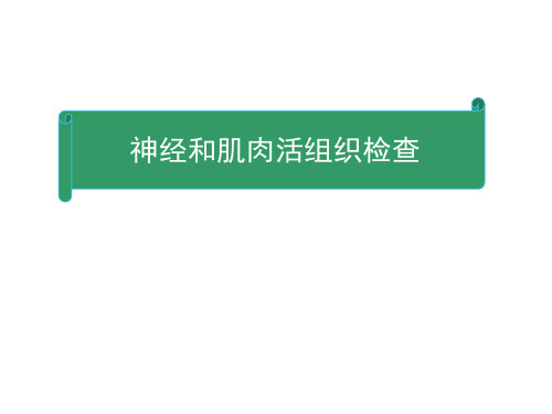 神经系统疾病的辅助诊断方法—神经和肌肉活组织检查