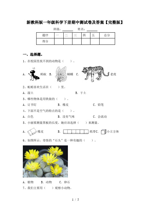 新教科版一年级科学下册期中测试卷及答案【完整版】