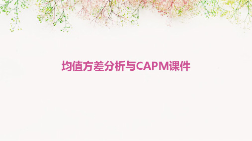 均值方差分析与CAPM课件