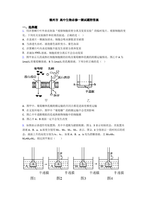 德州市 高中生物必修一测试题附答案