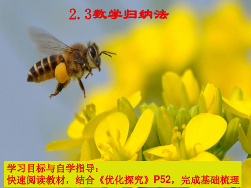 高中数学：2.3《数学归纳法》课件(新人教A版选修2-2)