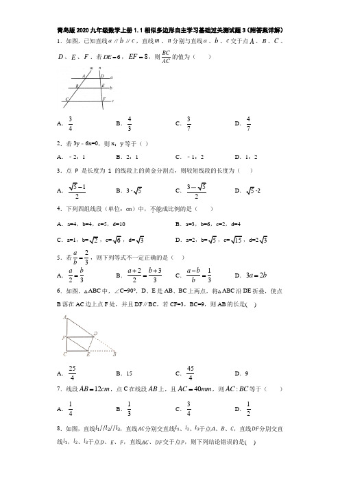 青岛版2020九年级数学上册1.1相似多边形自主学习基础过关测试题3(附答案详解)