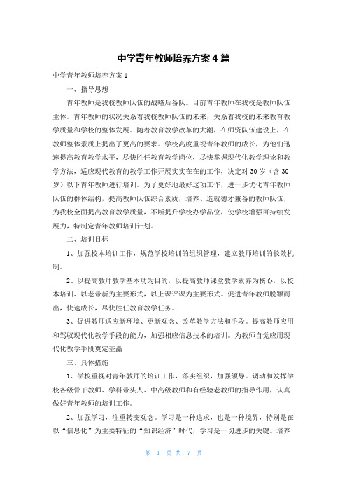 中学青年教师培养方案4篇