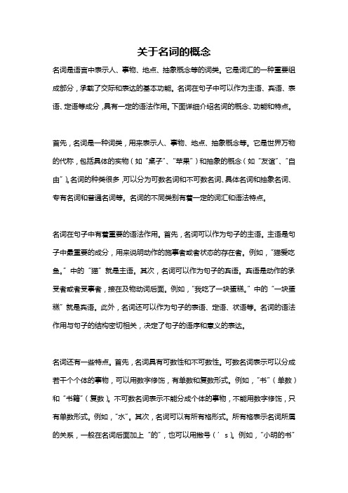 关于名词的概念