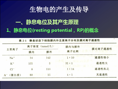 静息电位与动作电位