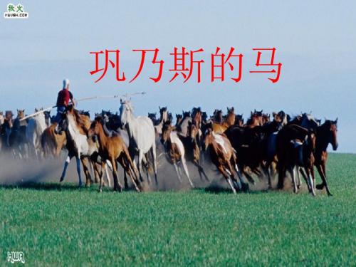 高中语文巩乃斯的马 课件 语文版必修2