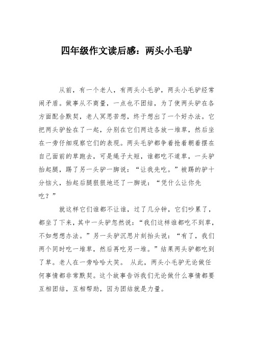 四年级作文读后感:两头小毛驴