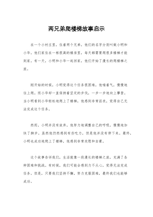 两兄弟爬楼梯故事启示