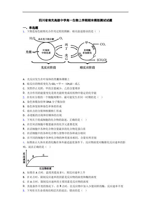 四川省南充高级中学高一生物上学期期末模拟测试试题