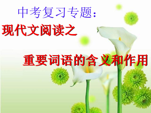 中考复习专题理解记叙文中重要词语的作用