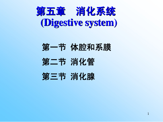 鱼类学：第五章 消化系统