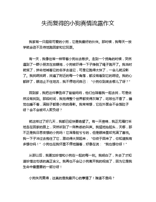 失而复得的小狗真情流露作文