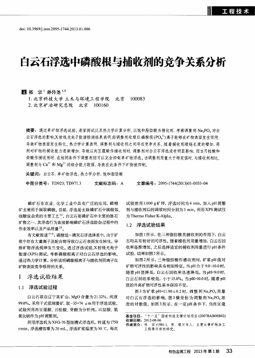 白云石浮选中磷酸根与捕收剂的竞争关系分析