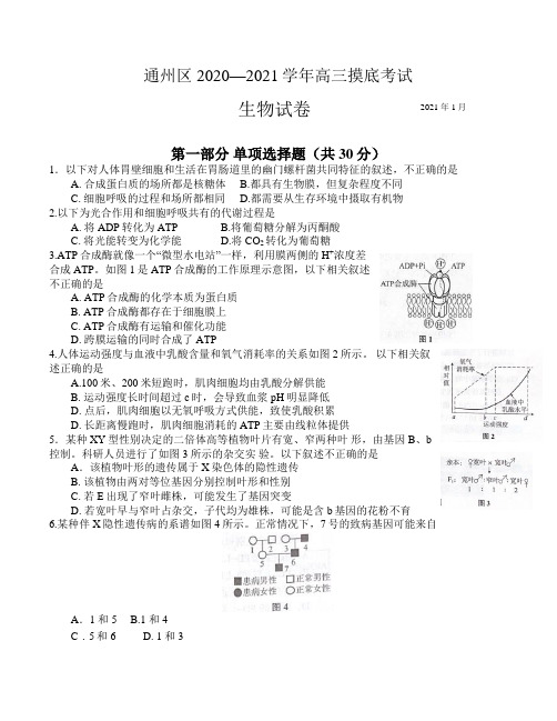 北京通州区2020—2021学年第二学期高三年级一模考试生物试题及答案