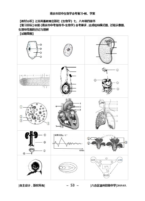 南京市初二生物会考《识图专题》复习