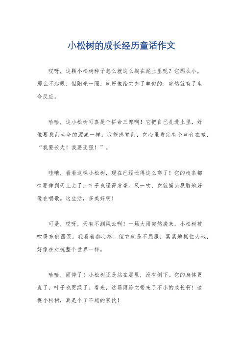 小松树的成长经历童话作文